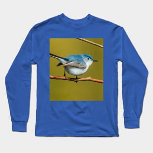 Little Cute Bird Photograph. Blue-Gray Gnatcatcher Long Sleeve T-Shirt